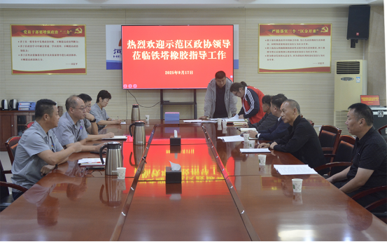 开封市示范区政协领导莅临开封铁塔橡胶调研督导安全环保工作